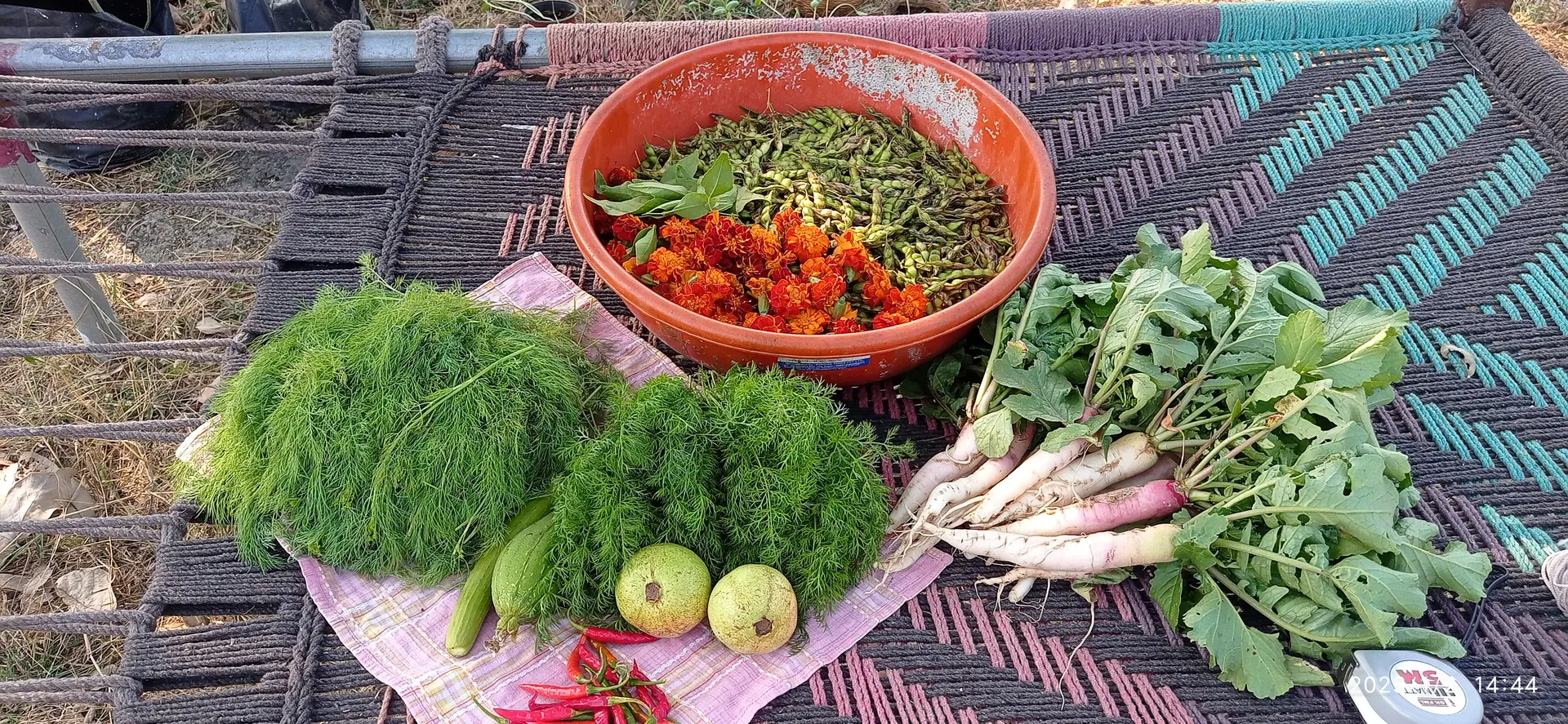 sahavardhan farm vegetable produce